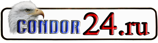 Condor24